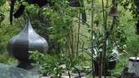 /album/photogallery/p1020174-jpg/