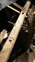 /album/photogallery/a11116078-10203998203890492-773219584-n-jpg/